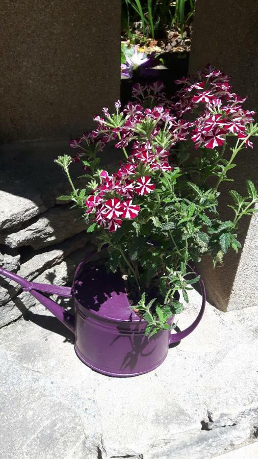 Bed and Breakfast Louminai Donzere Екстер'єр фото